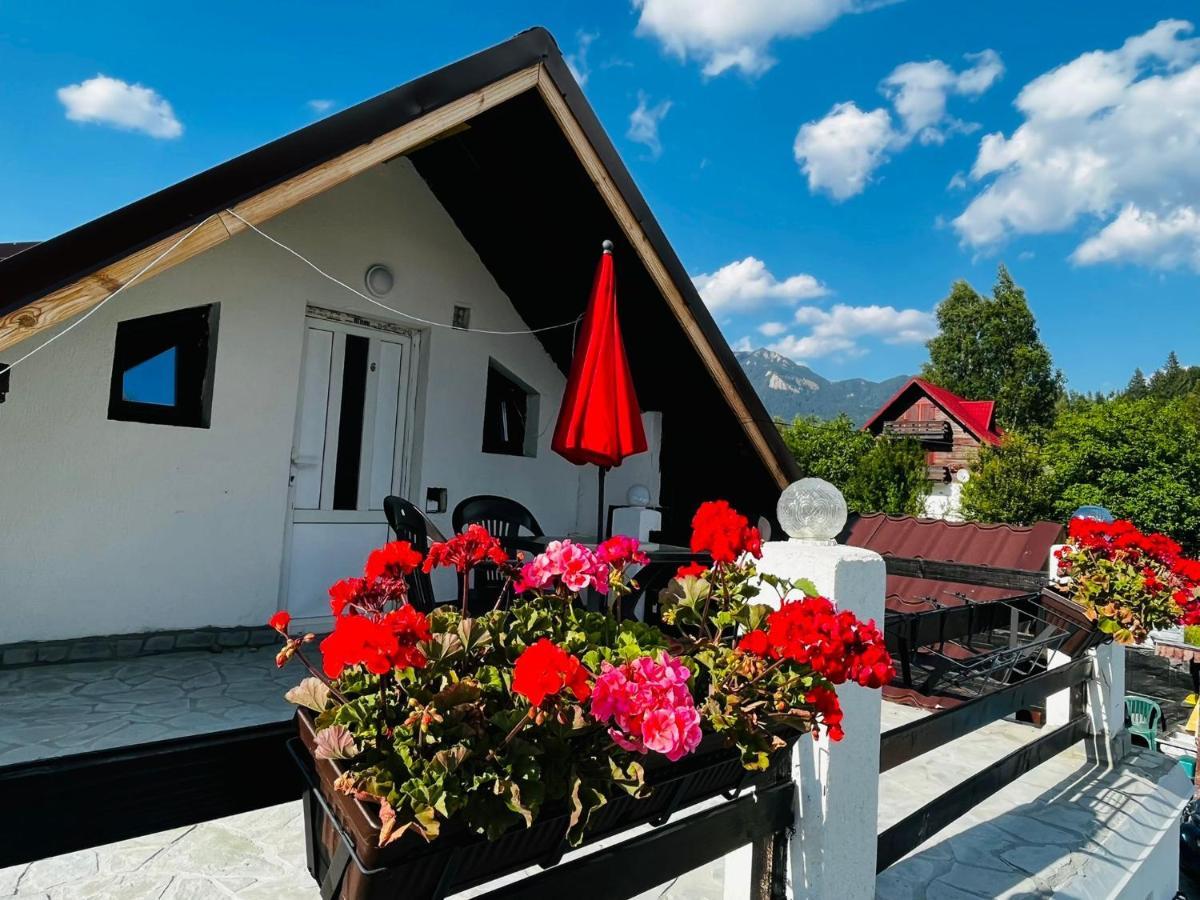 Hotel Poarta Zaganului Cheia à Cheia  Extérieur photo